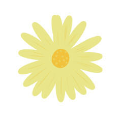 yellow daisy flower illustration. Top angle