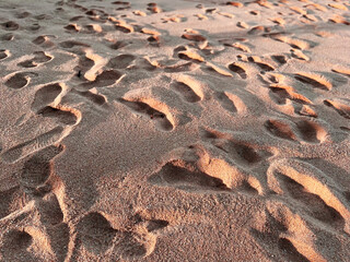 leaf on the beach, Close-up of footprints on a sandy beach, illuminated by warm sunlight. The...