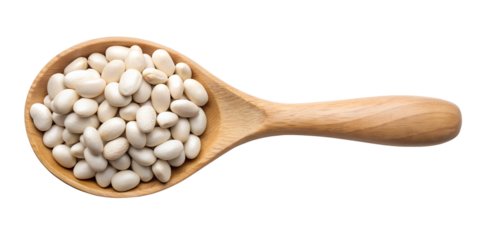 kidney bean in wooden spoon isolated on transparent background png