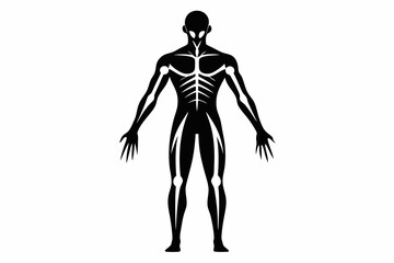 human body line art silhouette vector illustration