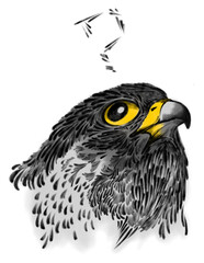 Fototapeta premium A digital painted picture of the doubt Peregrine Falcon