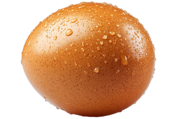 Close up of a wet brown egg with droplets on surface