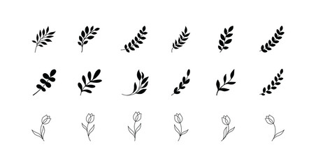 Simple summer, spring branches with leaves. Botanical elements. Floral branch set. Minimalist black silhouette. Flower logo design element. Elegant twig decoration set. Plant icons. Hand drawn black l