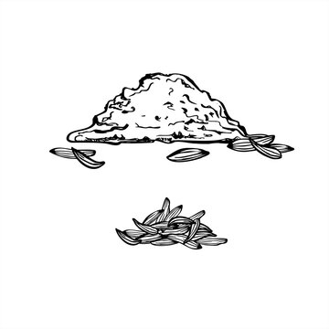 Monochrome cumin powder and whole cumin seed pile vector illustration painted by black inks in linear style. Aromatic organic spices graphic sketch. Food seasoning ingredient for cooking recipe