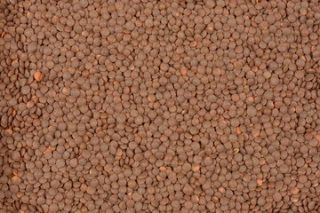 A close-up, top-down view of a pile of dry brown lentils filling the frame