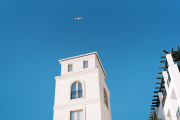 Albatross flies in the blue sky above a tall white building