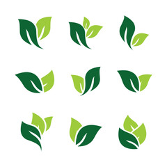 green tea leaves set flat design