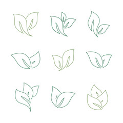 Fototapeta premium green tea leaves set flat design outlines