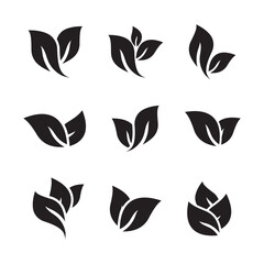 tea leaves set black