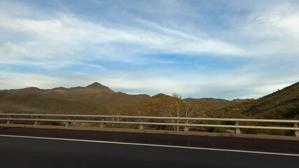 Arizona Driving 1719 Highway Tempe Sunflower