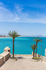 Palm trees on the surrounding city wall at the sea in Peniscola, Spain