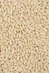 A close-up, top-down shot of a dense pile of white kidney beans