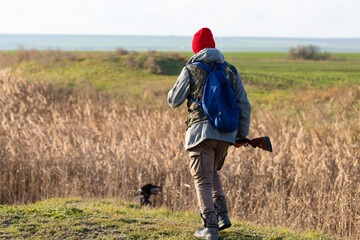 Mature hunter man holding a shotgun and walking through a field