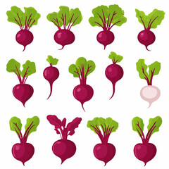 My Simple flat 2D icon beetroot with leaf set isolated on a white background, vector, flat design, animation design, simple flat 2D icon, minimalist design, clipart