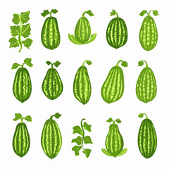 Very Simple flat 2D icon bitter melon set collection with leaf isolated on a white background, vector, flat design, animation design, simple flat 2D icon, minimalist design, clipart