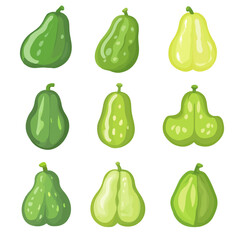 Very Simple flat 2D icon chayote set collection isolated on a white background, vector, flat design, animation design, simple flat 2D icon, minimalist design, clipart