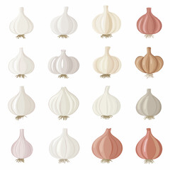 Very Simple flat 2D icon white garlic set collection isolated on a white background, vector, flat design, animation design, simple flat 2D icon, minimalist design, clipart