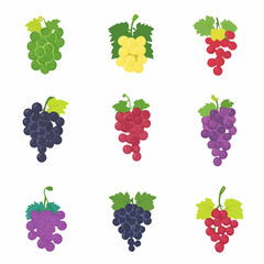 Very Simple flat 2D icon colorful grapes with green leaves set collection isolated on a white background, vector, flat design, animation design, simple flat 2D icon, minimalist design, clipart