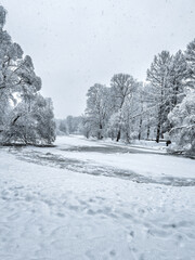 Winter Christmas Landscape with snowy Trees and Calm Winter River. Winter Forest On The River At...