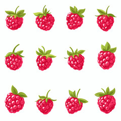 My Simple flat 2D icon raspberry set isolated on a white background, vector, flat design, vector, flat design, animation design, flat 2D icon, minimalist design, vector