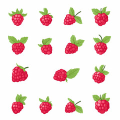 My Simple flat 2D icon raspberry set isolated on a white background, vector, flat design, vector, flat design, animation design, flat 2D icon, minimalist design, vector