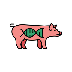 Genetically modified pig color flat icon.