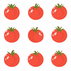A Simple flat 2D icon tomato set isolated on a white background, vector, flat design, vector, flat design, animation design, flat 2D icon, minimalist design, vector