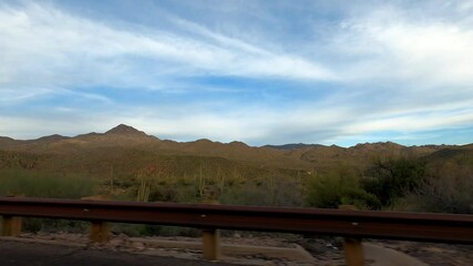 Arizona Driving 1720 Highway Tempe Sunflower