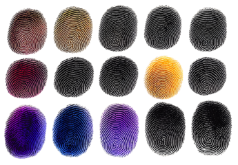 human ink fingerprint set