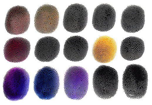 human ink fingerprint set