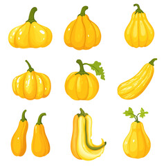 Very Simple flat 2D icon yellow squash with green leaves isolated on a white background, vector, flat design, vector, flat design, animation design, flat 2D icon, minimalist design, vector