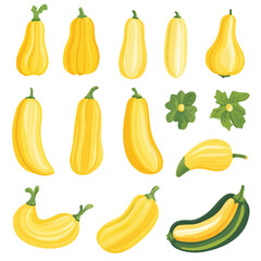Very Simple flat 2D icon yellow squash with green leaves isolated on a white background, vector, flat design, vector, flat design, animation design, flat 2D icon, minimalist design, vector