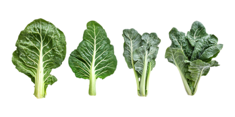 Fresh green leafy vegetables are naturally displayed with vibrant texture on a clean transparent background, perfect for health food advertising or