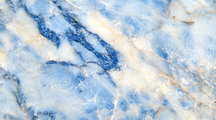 Close-up of gorgonzola cheese texture and distinct blue veins