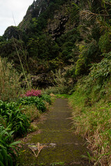 Cliff view of black sand beaches on tropical island 