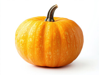 Fototapeta premium Bright orange pumpkin resting on white surface for decoration