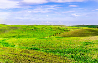 Obraz premium Beautiful landscape of green spring season field with salad grass, farm with garden and sunset or sunrise scenic sky