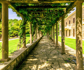 scenic yard of a palace park with beautiful green plant gallery with amazing columns and pavement road