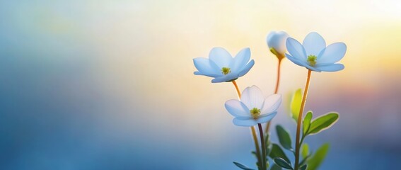 Naklejka premium Nature's Serenity White Flowers Blooming by the Water Relaxing Environment Close-Up View Tranquility Concept