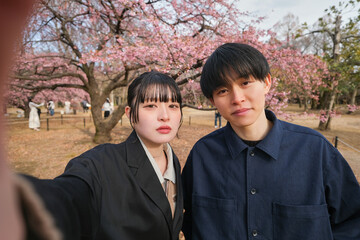 梅の花を背景に自撮り写真を撮るカップル
