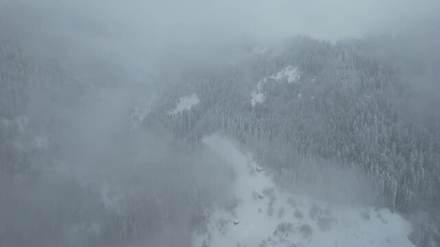 Aerial video in snowy winter Uzungol caykara Trabzon Trkiye