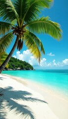 Lush palms bend over turquoise water, white sand beach , paradise, relaxing, turquoise