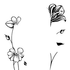 Delicate Black and White Floral Illustration: Isolated Flower Stems, Blossoms, and Buds, Sparse Composition.