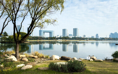 Fototapeta premium Tranquil Lakeside Urban Landscape with Reflections and Modern Architecture