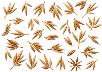 isolated transparent Background. Dried cumin seeds arranged in beautiful pattern, showcasing their rich texture and color
