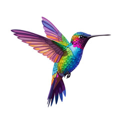 Obraz premium Fantasy world. Colorful hummingbird. Abstract watercolor drawing. Flat vector design. Transparent PNG version.