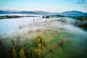 Aerial view of mist drifting over lush, green landscape. Early morning fog gently envelops trees...