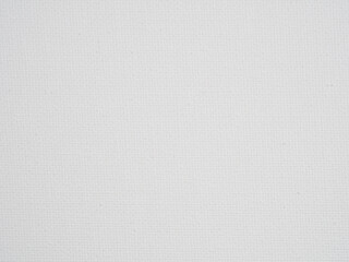 Blank Canvas for Paintings: The perfect backdrop for artistic creation, artwork, and art projects.