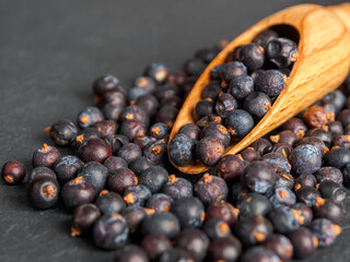 Bright juniper berries, create a calm and attractive natural background.