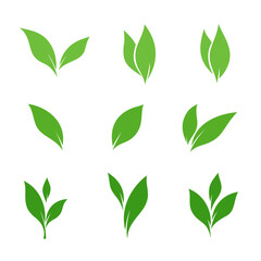 A set of green leaves isolated on white, vector graphic illustration of an eco element of nature for an icon, logo. Fresh young plants for decoration, design, hand-painted. The shape of spring foliage